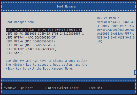 UEFI Boot Manager with the USB drive selected